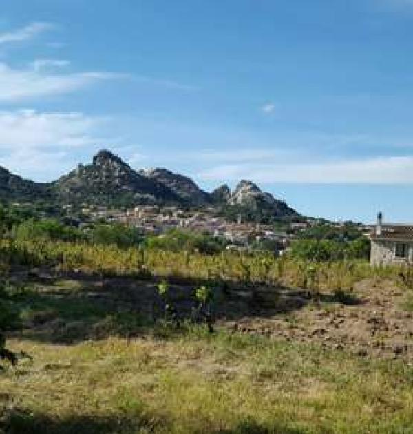 Hoofdfoto Agriturismo Il Muto di Gallura