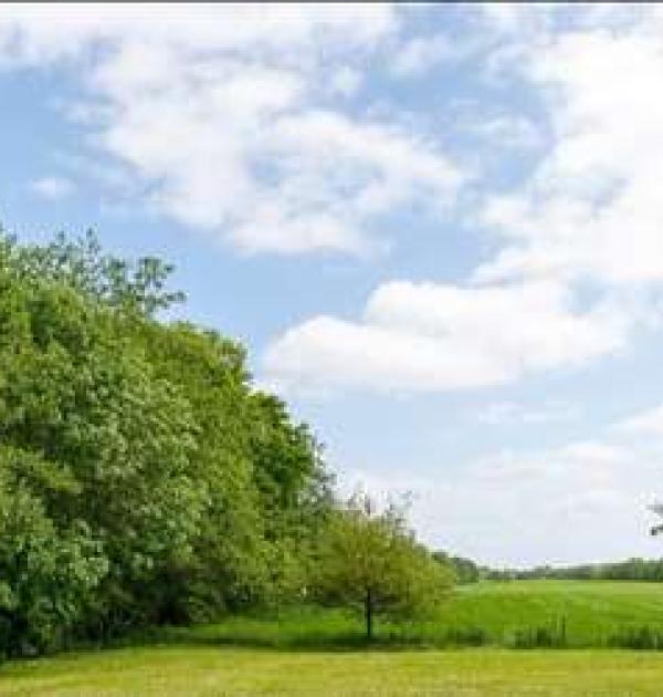 Hoofdfoto Camperplaats It Wâldhoekje