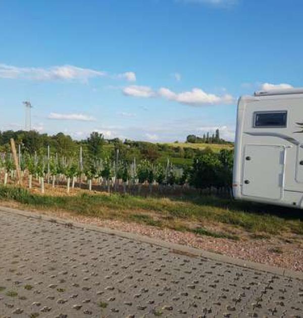 Hoofdfoto Weingut Engelmann