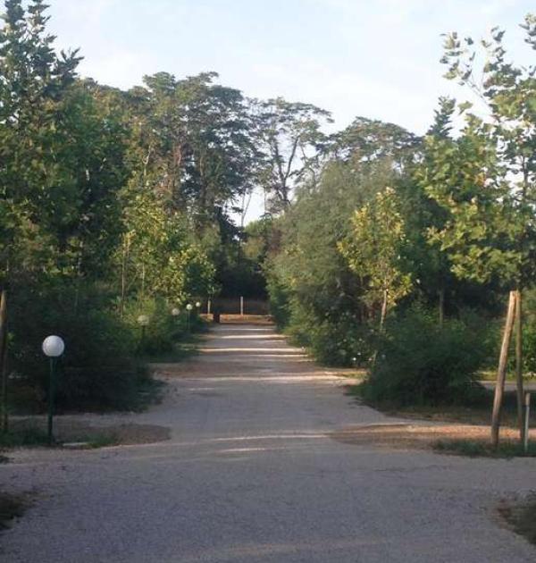 Hoofdfoto Area Camperesort