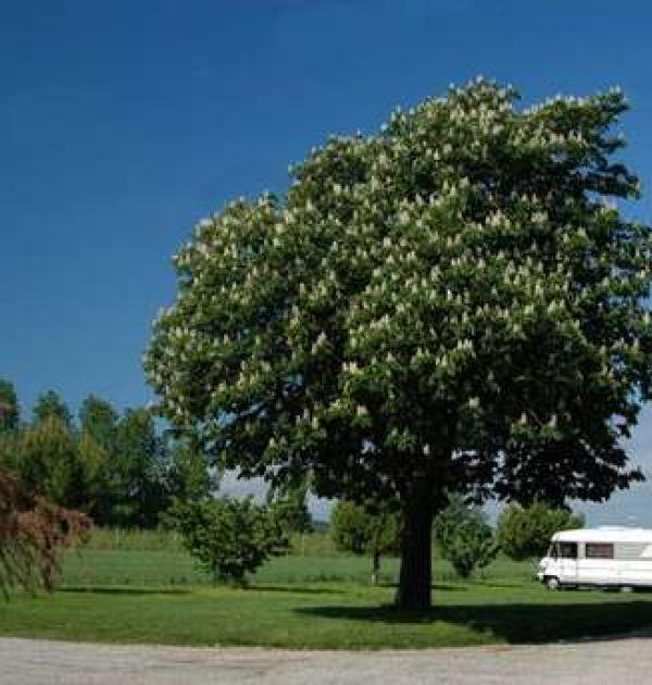 Hoofdfoto Domaine Distaise