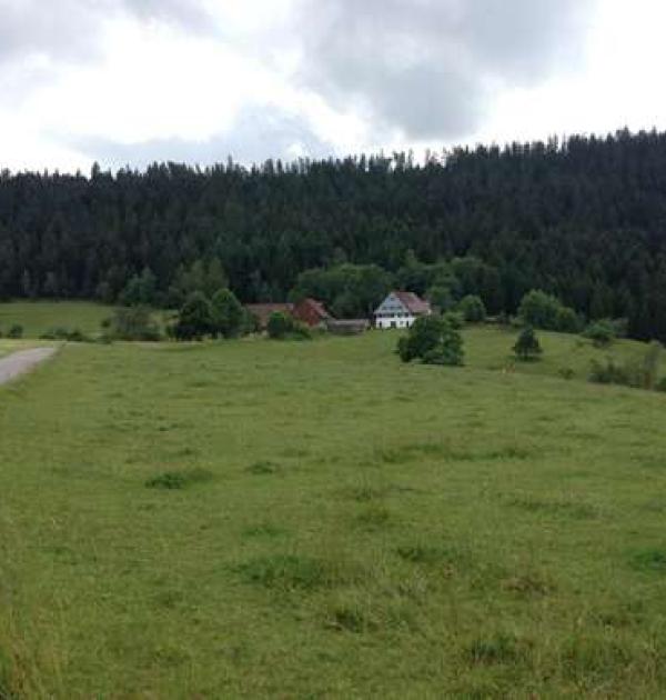 Hoofdfoto Hinterholzstube
