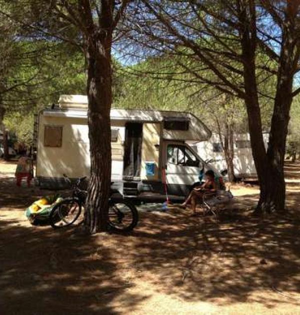 Hoofdfoto Motor Home Services