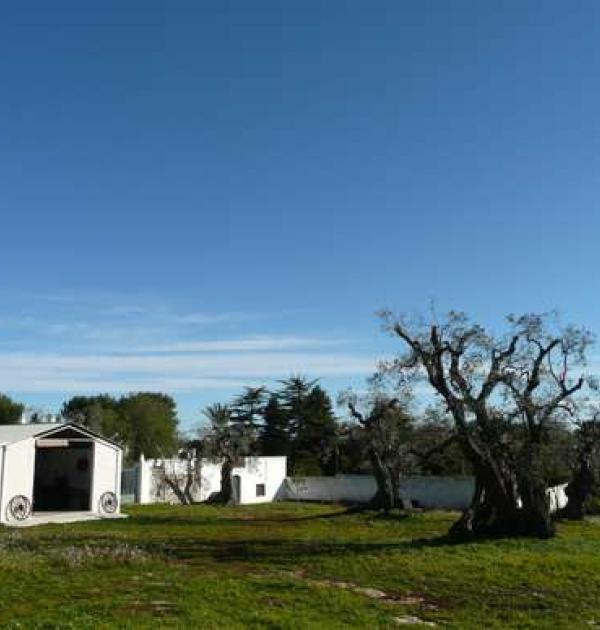 Hoofdfoto Agriturismo La Masseria Il Frantoio