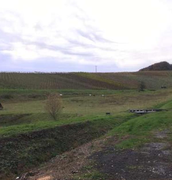 Hoofdfoto Weingut Sommer