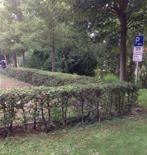 Hoofdfoto Wohnmobilstellplatz Diefenbach