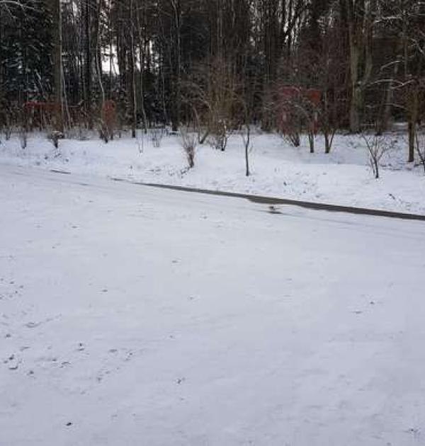 Hoofdfoto Stadtpark