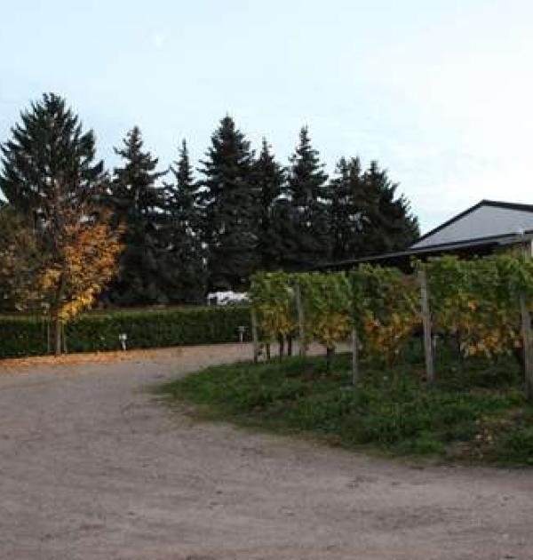 Hoofdfoto Weinhaus St.Joseph/Ferien-Weingut Egon Spang
