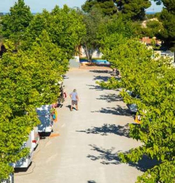 Hoofdfoto Valencia Camper Park