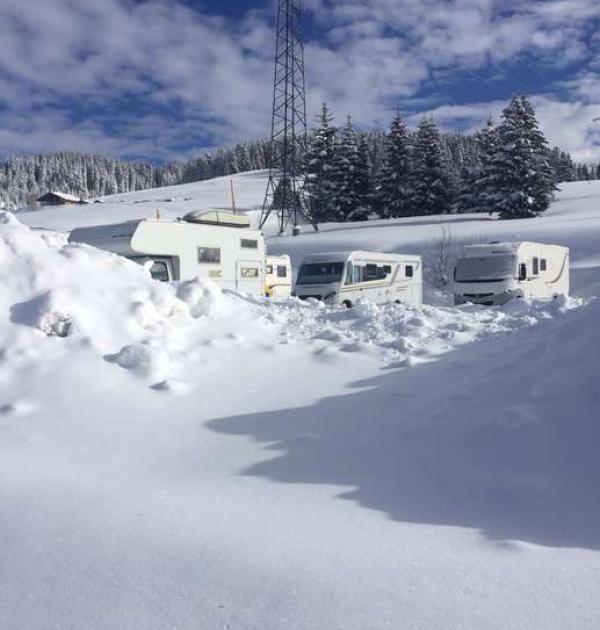 Hoofdfoto Aire de Camping-Car Parking de la Foret