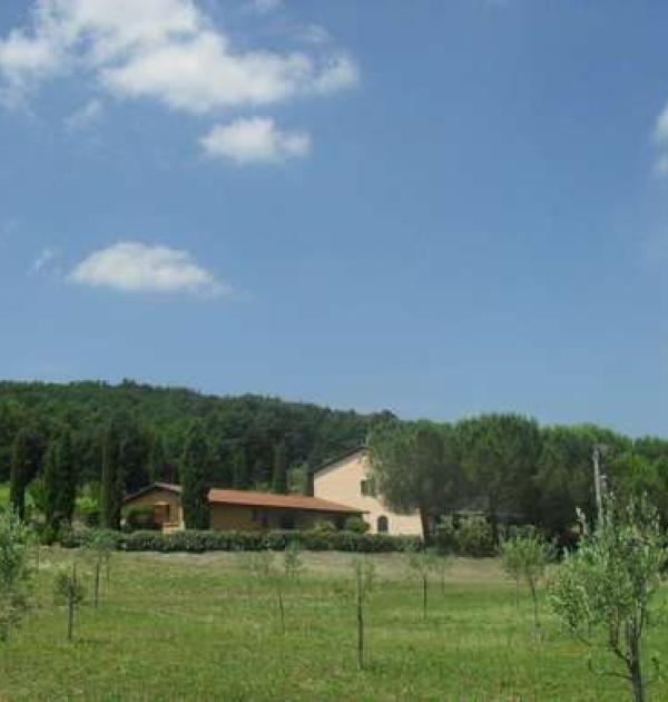 Hoofdfoto Agricampeggio Podere Mulinaccio