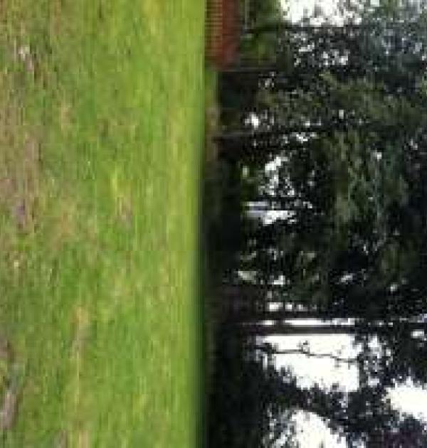 Hoofdfoto Friesland Camping