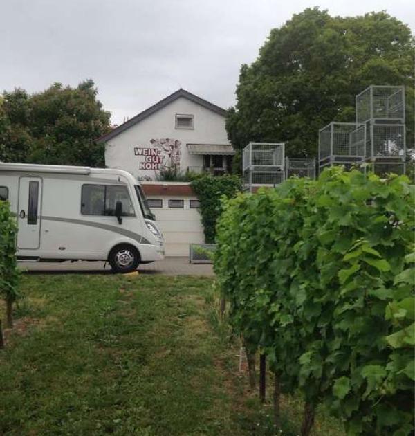 Hoofdfoto Weingut Kohl