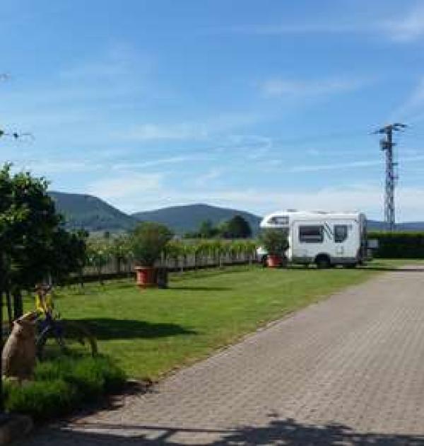 Hoofdfoto Weingut Helmut Koch