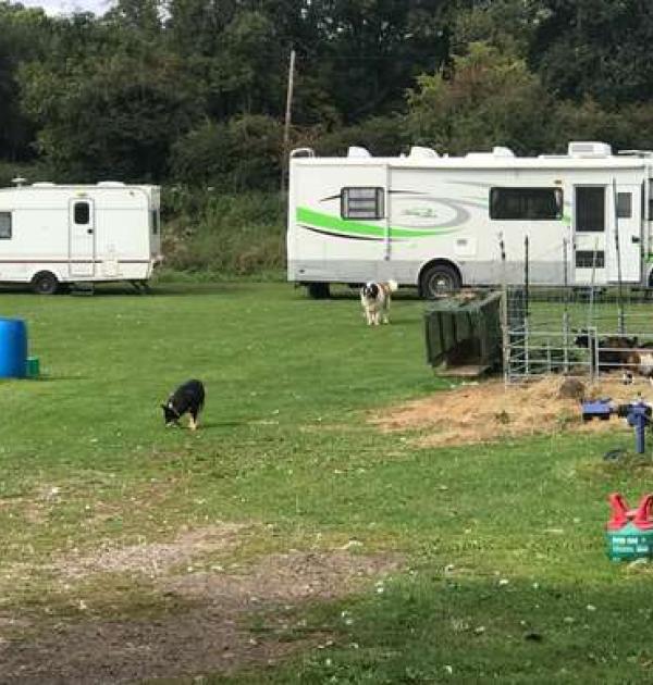 Hoofdfoto Clapton Farm Caravan and Camping
