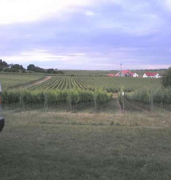 Hoofdfoto Weingut Hitziger