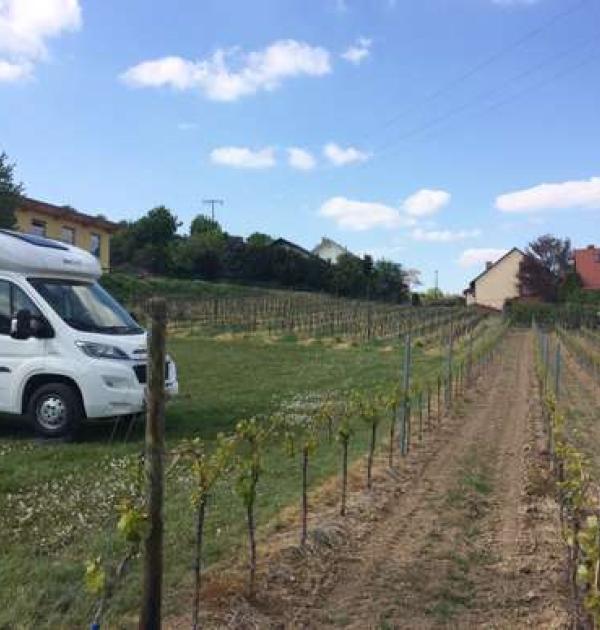 Hoofdfoto Weingut & Gastehaus Benss
