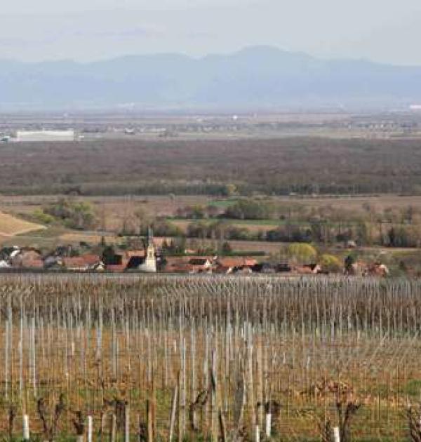 Hoofdfoto Parking Salle du Hatschbourg
