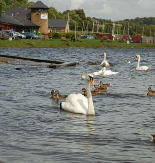 Hoofdfoto Castle Semple Visitor Centre