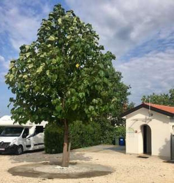 Hoofdfoto Camp Terre