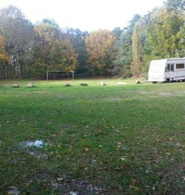 Hoofdfoto Sportplatz