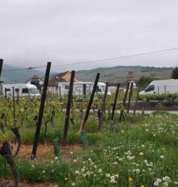 Hoofdfoto Domaine Fritz