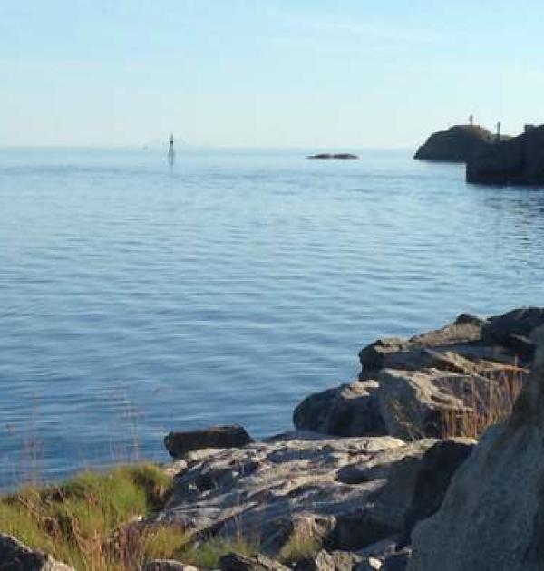 Hoofdfoto Cetho Bobilcamping - Svolvær Bobilpark