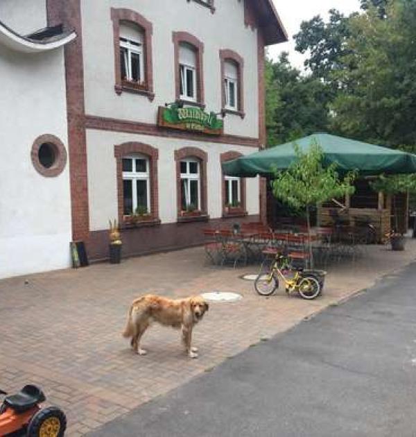 Hoofdfoto Waldidyll im Elsthal