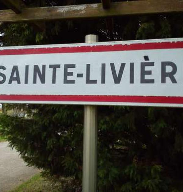 Hoofdfoto Aire de Camping-Car Sainte Liviere