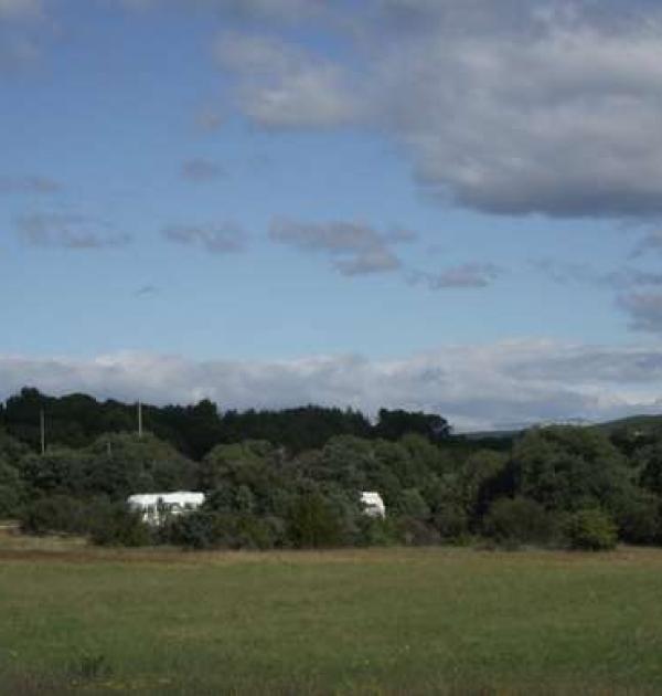 Hoofdfoto Domaine de L'Olivet