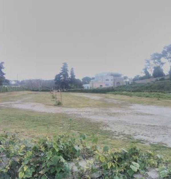 Hoofdfoto Parcheggio Minerva