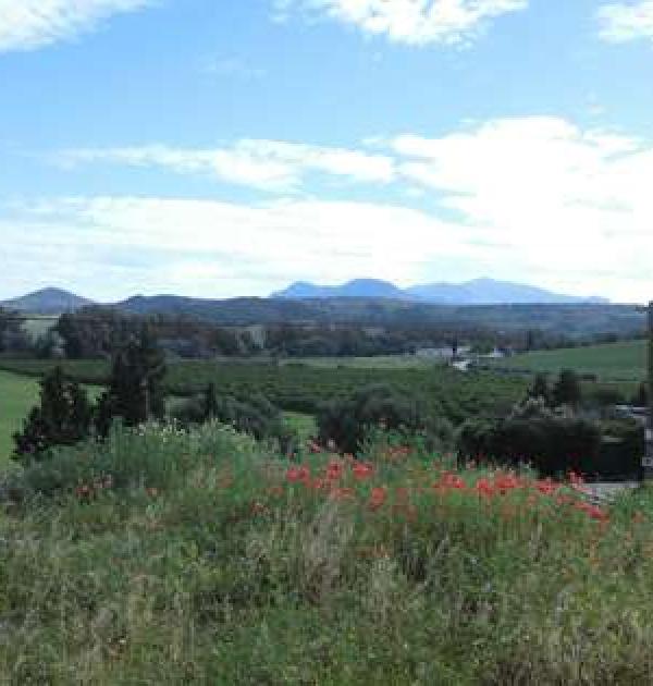 Hoofdfoto Cortijo Sambana