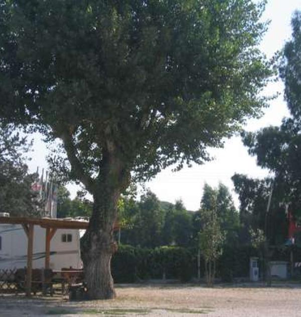 Hoofdfoto Area Prato Smeraldo