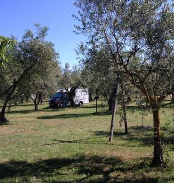Hoofdfoto Agricampeggio Monterotondo