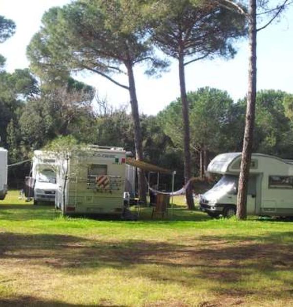 Hoofdfoto Area La Pineta