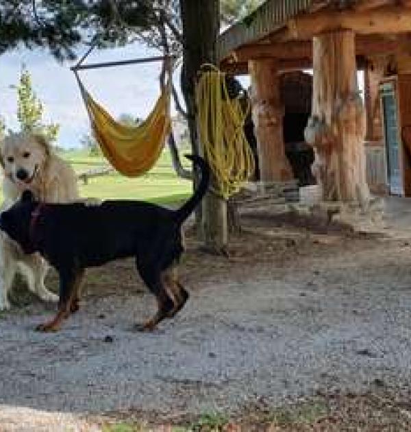 Hoofdfoto Camping in Tourist village Pristava