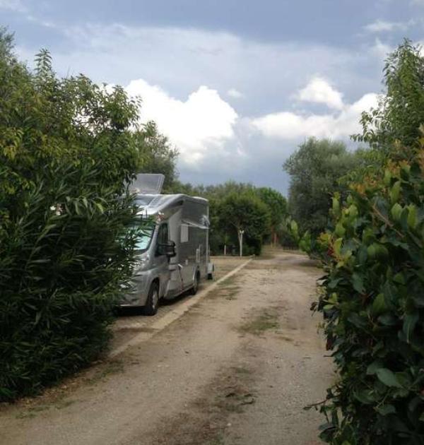 Hoofdfoto Fattoria  Parco degli Ulivi