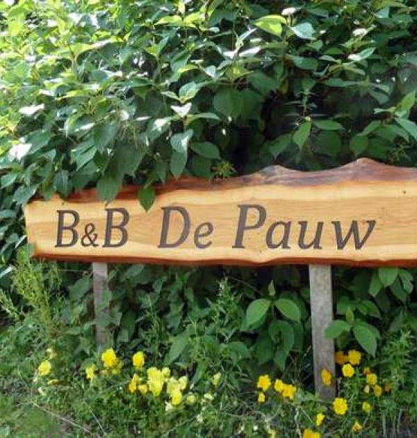Hoofdfoto De Pauw