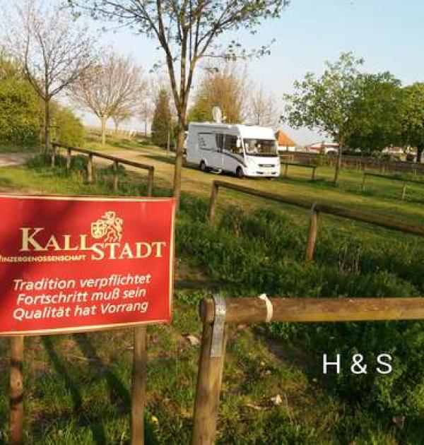 Hoofdfoto Am Friedhof Kallstadt