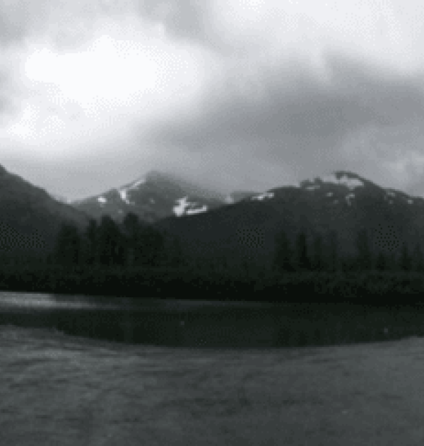 Hoofdfoto Tangle Pond