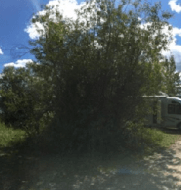 Hoofdfoto Burns Lake Village Campground
