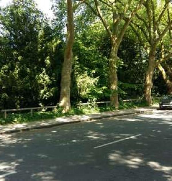 Hoofdfoto Moltkepark