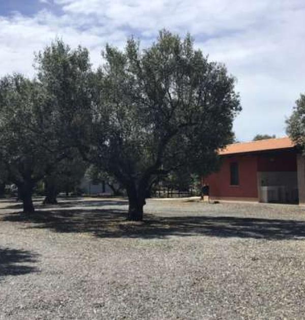 Hoofdfoto Agriturismo Feudo Delle Querce