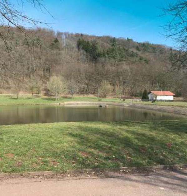 Hoofdfoto Silz am See