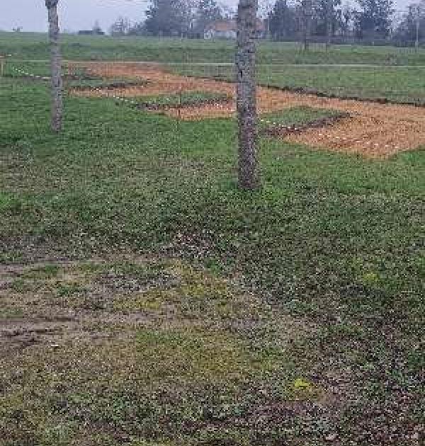 Hoofdfoto Ferme Des Pilets Earl