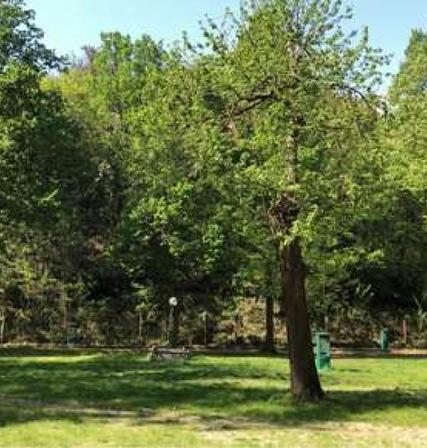 Hoofdfoto Area Sosta Camper Lago Sirio