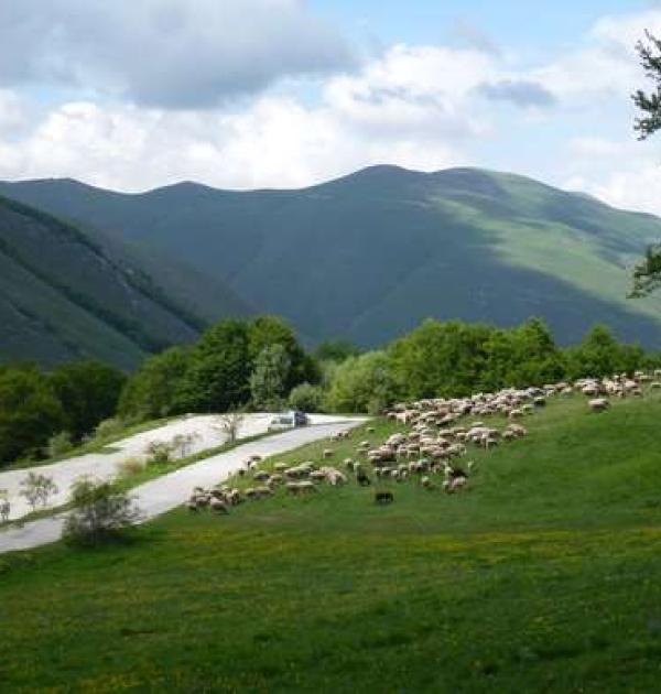 Hoofdfoto Parcheggio Monte Cappellata
