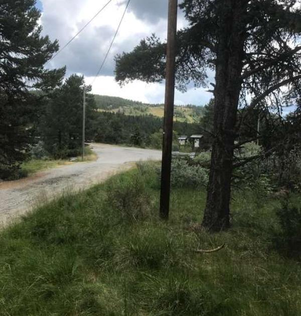Hoofdfoto Tisleidalen Rasteplass