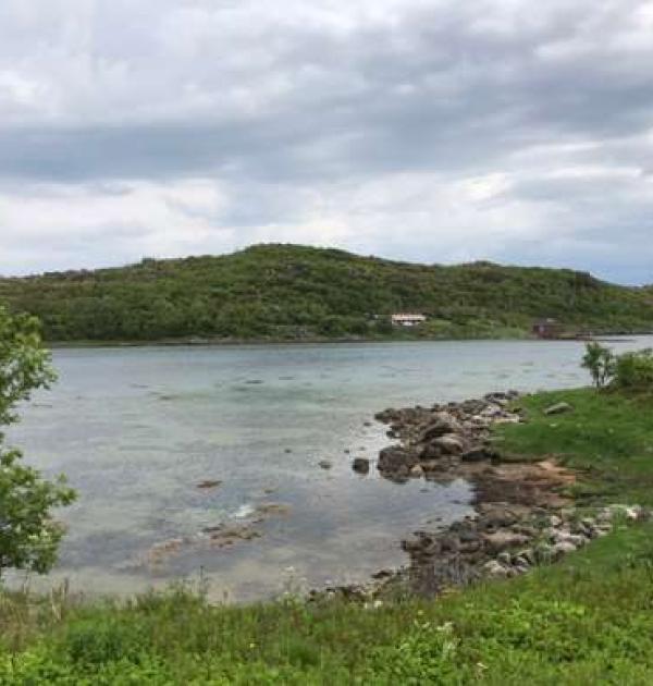 Hoofdfoto Hellvågan