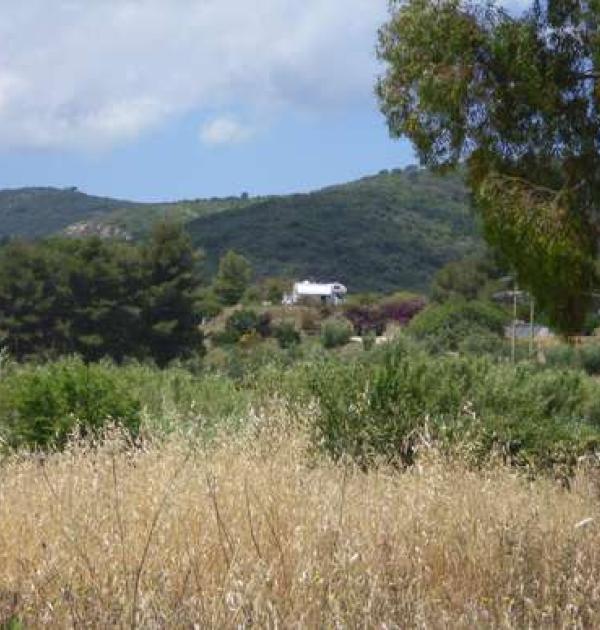 Hoofdfoto Agriturismo Orti di Mare